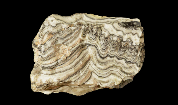 Onyx