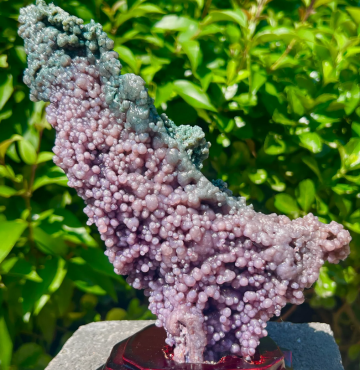 Chalcedon