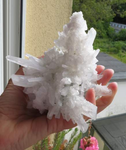 Himalaya Kaktus-Quarz 525g , China