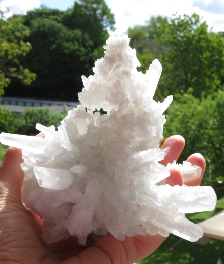 Himalaya Kaktus-Quarz 525g , China
