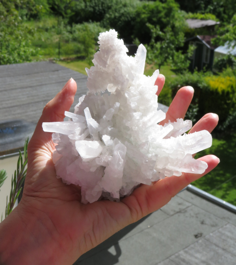 Himalaya Kaktus-Quarz 525g , China
