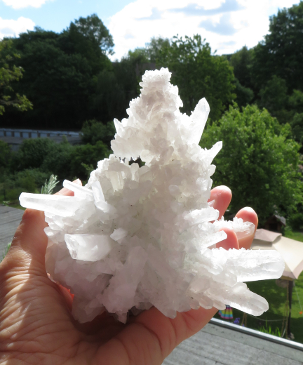 Himalaya Kaktus-Quarz 525g , China