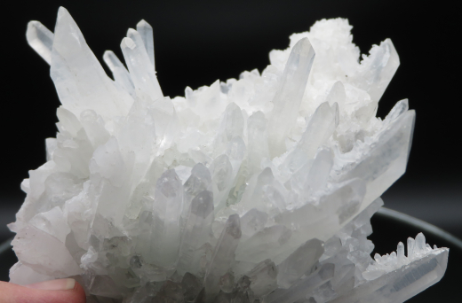 Himalaya Kaktus-Quarz 525g , China
