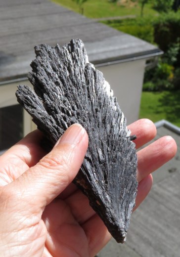 Schwarze Kyanit Feder 180g, Ribeiruo da Falha / Brasilien