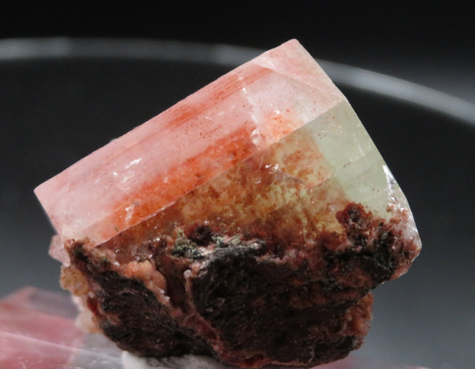 Multicolor Apophylit Phantom-Einzelkristall 53g , Jamthi / Indien!