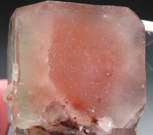 Multicolor Apophylit Phantom-Einzelkristall 53g , Jamthi / Indien!
