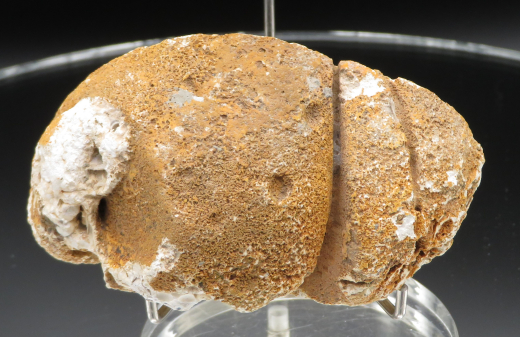 Timor - Achat 166g, Timor / Indonesien