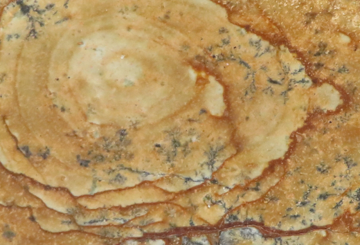 Landschafts-Jaspis mit Dendriten 452g, Süd-Sumatra/ Indonesien
