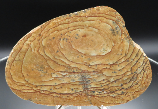 Landschafts-Jaspis mit Dendriten 452g, Süd-Sumatra/ Indonesien