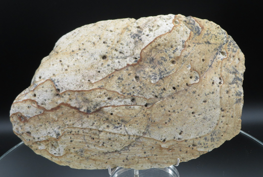 Landschafts-Jaspis mit Dendriten 645g, Süd-Sumatra/ Indonesien
