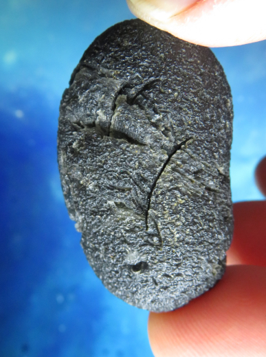 Tektit aus Indonesien 24g, Farbe: graugrün