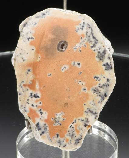 Farbklecks-Jaspis (orange) mit Dendriten 173g, Tangkuban / Indonesien