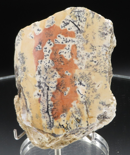 Farbklecks-Jaspis (orange) mit Dendriten 272g, Tangkuban / Indonesien