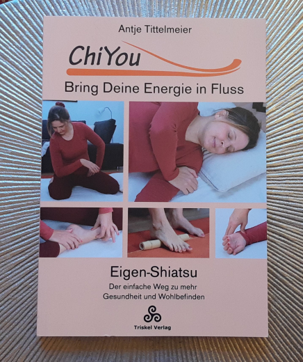 Chi You - Bring deine Energie in Fluss / Antje Tittelmeier, Taschenbuch SH
