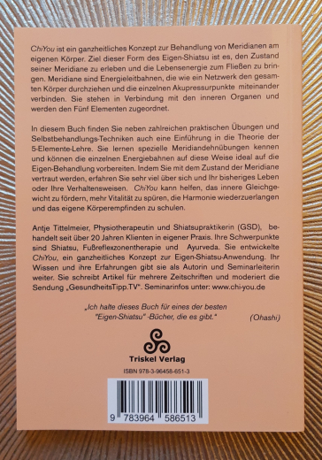 Chi You - Bring deine Energie in Fluss / Antje Tittelmeier, Taschenbuch SH