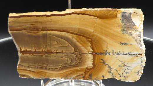 Landschaftsmarmor - Plattenkalk mit Dendriten, 338g, Solnhofen / Deutschland