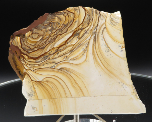 Landschaftsmarmor - Plattenkalk mit Dendriten, 296g, Solnhofen / Deutschland