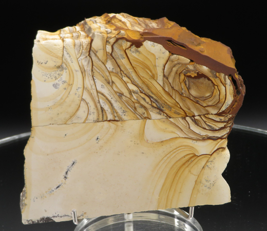 Landschaftsmarmor - Plattenkalk mit Dendriten, 296g, Solnhofen / Deutschland