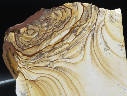 Landschaftsmarmor - Plattenkalk mit Dendriten, 296g, Solnhofen / Deutschland