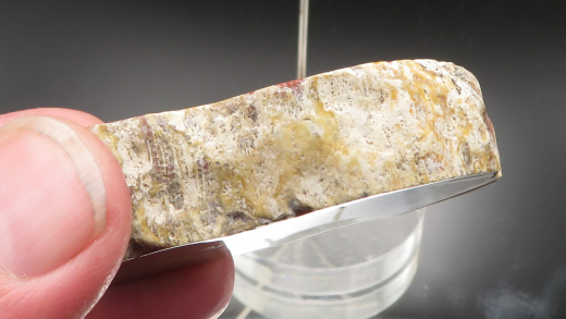 Versteinerte Koralle / Blüten-Achat, Indonesien