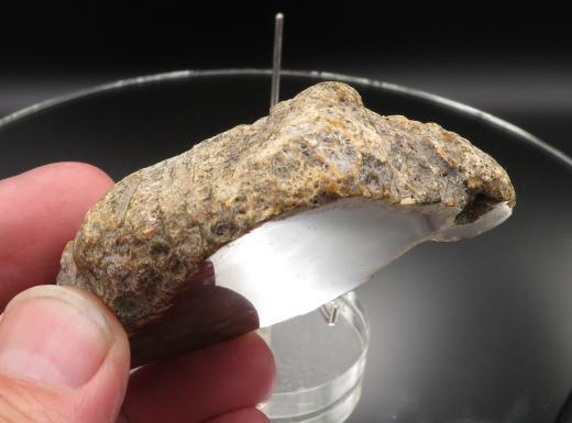 Versteinerte Koralle / Blüten-Achat, Indonesien