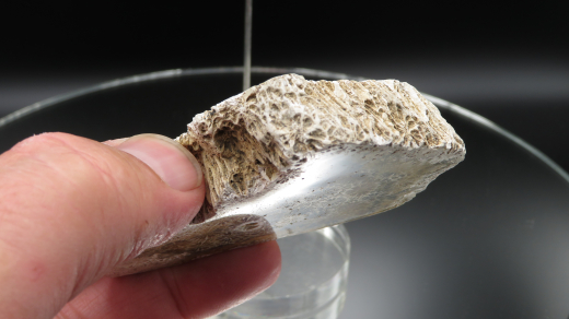 Versteinerte Koralle / Blüten-Achat, Indonesien