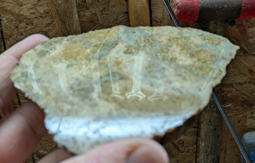 Versteinerte Spinnennetz-Koralle 326g, Indonesien, Selten!