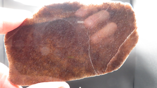 Quarzit Scheibe violett mit Glimmer, poliert, Ostsee/Deutschland