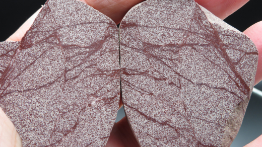 Brekzien Paar in violett/weißem Sandstein, Ostsee / Deutschland