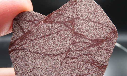 Brekzien Paar in violett/weißem Sandstein, Ostsee / Deutschland