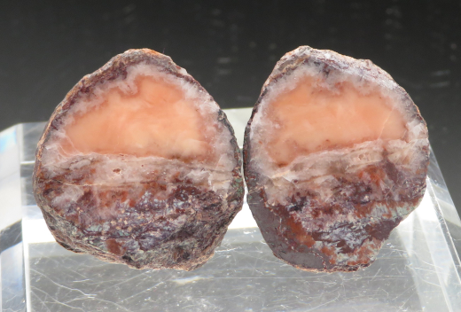 Achat Paar, lachsfarben, Mammendorf/Sachsen-Anhalt/Deutschland