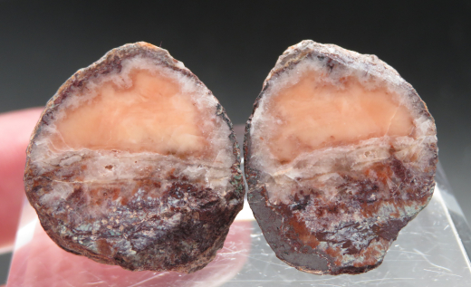 Achat Paar, lachsfarben, Mammendorf/Sachsen-Anhalt/Deutschland