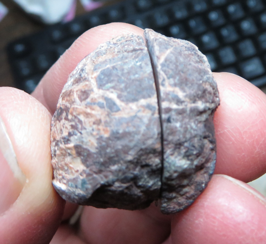 Achat Paar, lachsfarben, Mammendorf/Sachsen-Anhalt/Deutschland