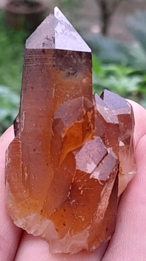 Bergkristall, Quarz, mit Limonit / Pakistan