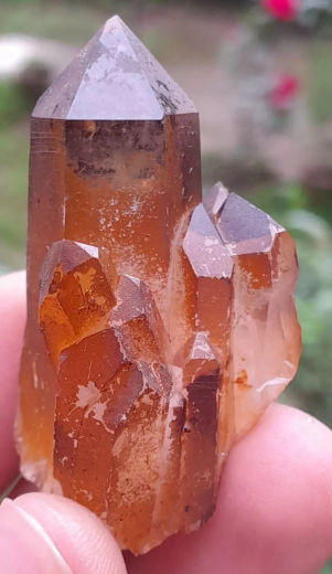 Bergkristall, Quarz, mit Limonit / Pakistan