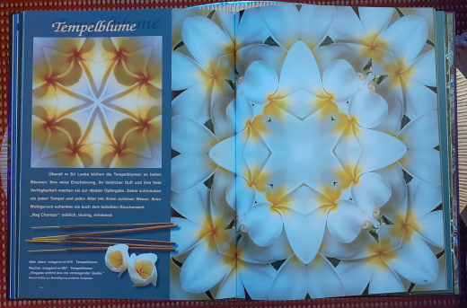 Das imagami-Prinzip - Seelenbilder der Natur / Sirtara Bruno Hahn, DIN A4 Hardcover-Bildband SH