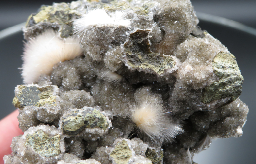 Thomsonit Stufe (2) Deshgaon / Indien