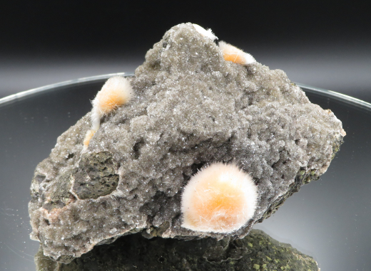 Thomsonit Stufe (4) Deshgaon / Indien