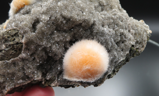 Thomsonit Stufe (4) Deshgaon / Indien