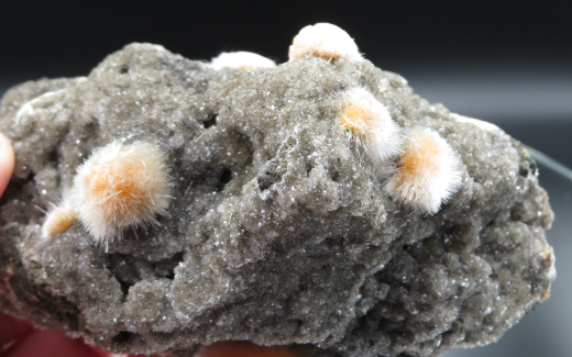 Thomsonit Stufe (4) Deshgaon / Indien