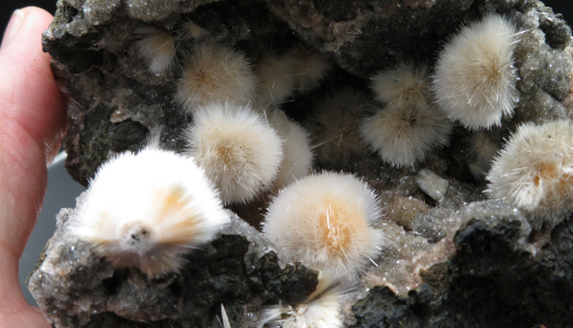 Thomsonit Stufe (5) Deshgaon / Indien