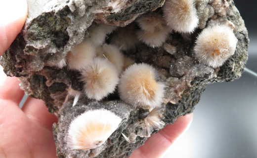 Thomsonit Stufe (5) Deshgaon / Indien