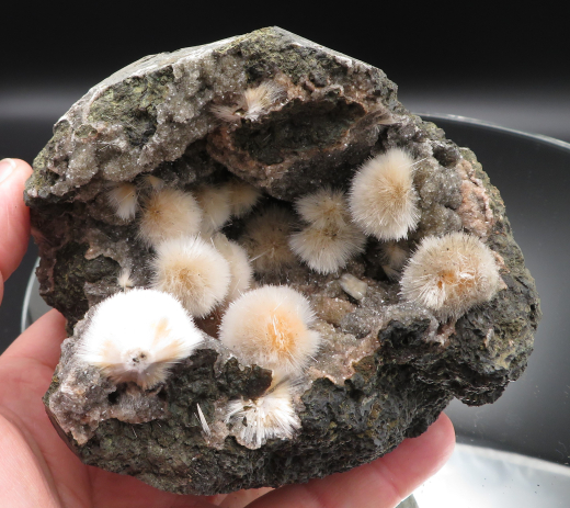 Thomsonit Stufe (5) Deshgaon / Indien