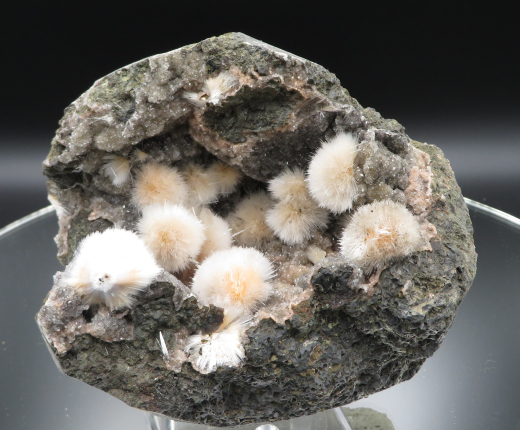 Thomsonit Stufe (5) Deshgaon / Indien