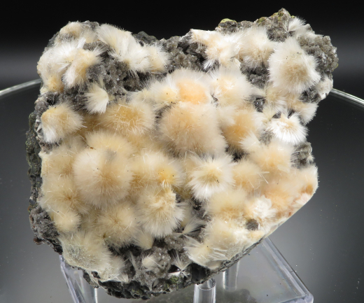 Thomsonit Stufe (6) Deshgaon / Indien