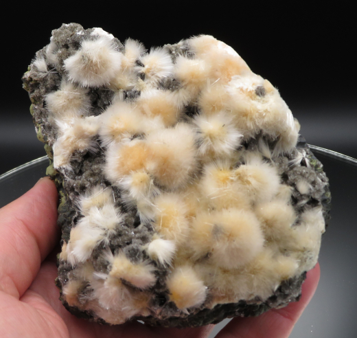 Thomsonit Stufe (6) Deshgaon / Indien