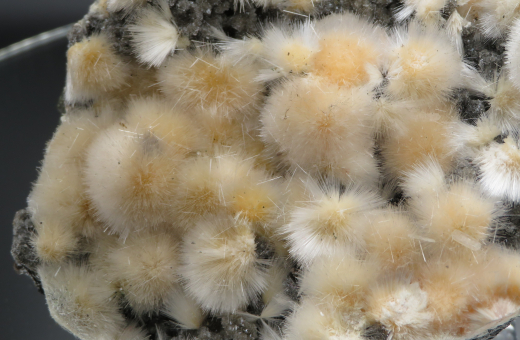 Thomsonit Stufe (6) Deshgaon / Indien