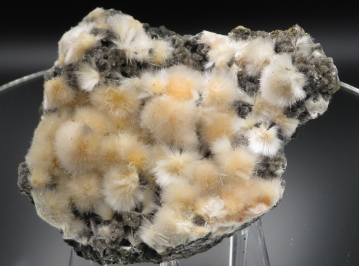 Thomsonit Stufe (6) Deshgaon / Indien