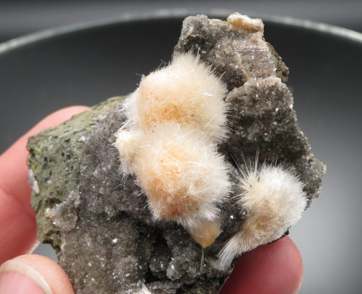 Thomsonit Stufe (7) Deshgaon / Indien