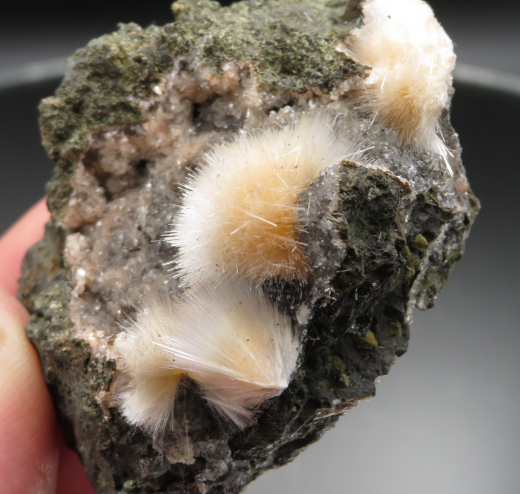 Thomsonit Stufe (8) Deshgaon / Indien